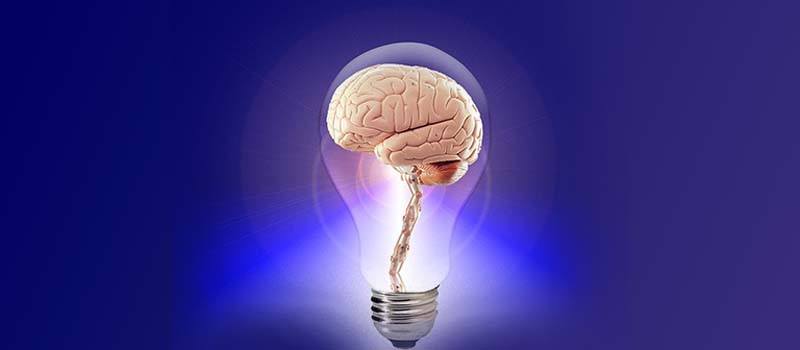 Biomedic