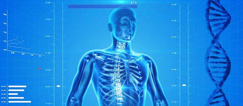 Biomedic